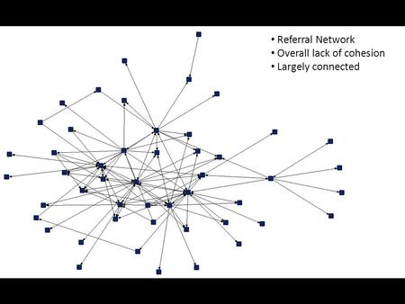 Referral Network Overall lack of cohesion Largely connected.