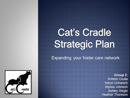 Expanding your foster care network Group 2: Kristen Cicala Keryn Dohanich Alyssa Johnson Ashley Siegle Heather Thoreson.