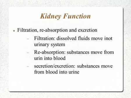 Kidney Function Filtration, re-absorption and excretion