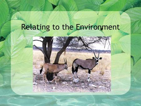 Relating to the Environment. Adaptations and the Environment What is an adaptation? What is the role of genes in adaptation?