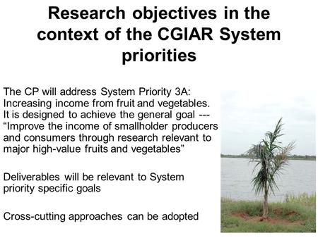 Research objectives in the context of the CGIAR System priorities The CP will address System Priority 3A: Increasing income from fruit and vegetables.