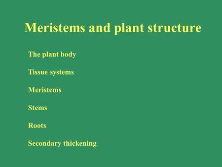 Meristems and plant structure