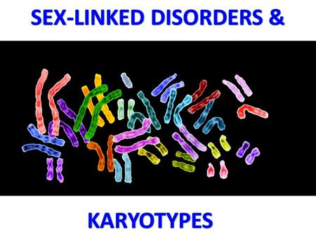 A disease that prevents the blood from clotting properly. It is a genetic disorder, meaning it’s the result of a change in genes that were inherited.