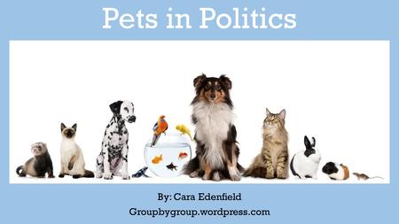 Pets in Politics By: Cara Edenfield Groupbygroup.wordpress.com.