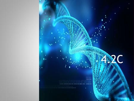 4.2C. The completion of The Human Genome Project! WOW!!!!!  However, is knowing all of our DNA a good thing?