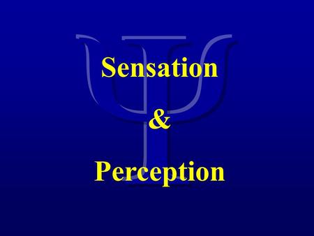 Sensation & Perception. Motion Vision I: Basic Motion Vision.