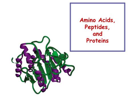 Amino Acids, Peptides, and Proteins. Introduction to Amino Acids  There are about 26 amino acids, many others are also known from a variety of sources.