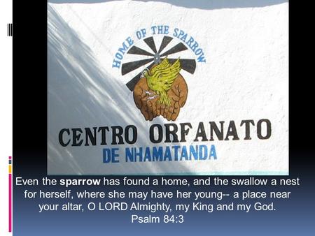 Even the sparrow has found a home, and the swallow a nest for herself, where she may have her young-- a place near your altar, O LORD Almighty, my King.