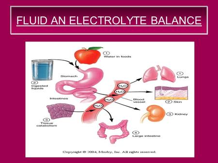 FLUID AN ELECTROLYTE BALANCE