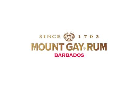 YOUR PREMIUM CHOICE 22/02/111. YOUR PREMIUM CHOICE 22/02/112 Mount Gay Rum - Travel Retail Strategy 7. Introduction of the new advertising visuals Strategies.