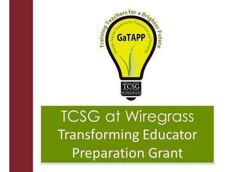 TCSG at Wiregrass Transforming Educator Preparation Grant TCSG at Wiregrass Transforming Educator Preparation Grant.