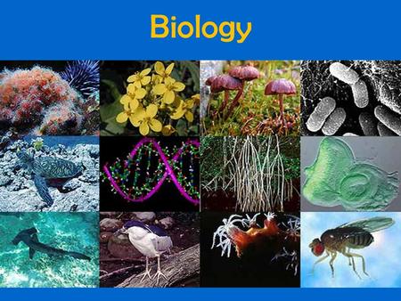 Biology. Observations are a critical component of science.