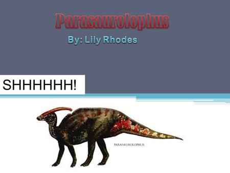 SHHHHHH! Near-crested Lizard The Parasaurolophus (parah-sore-owe-loaf-uss) is a dinosaur. Its name means near- crested lizard. Its called that because.