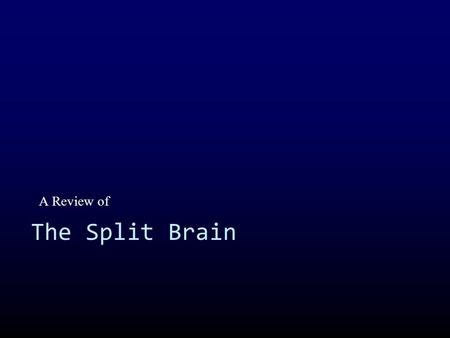 A Review of The Split Brain. This thick band of neurons connects the left and right hemispheres of the brain and can be severed in some epileptic patients.