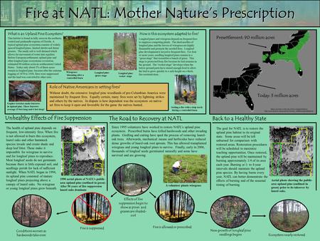 The Road to Recovery at NATL Unhealthy Effects of Fire Suppression Back to a Healthy State Role of Native Americans in setting fires? Fire at NATL: Mother.