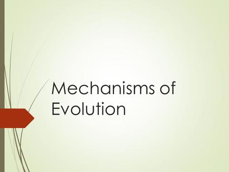 Mechanisms of Evolution