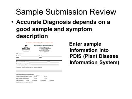 Sample Submission Review Accurate Diagnosis depends on a good sample and symptom description Enter sample information into PDIS (Plant Disease Information.