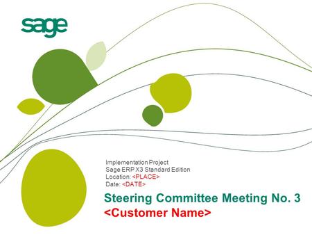 Steering Committee Meeting No. 3 <Customer Name>