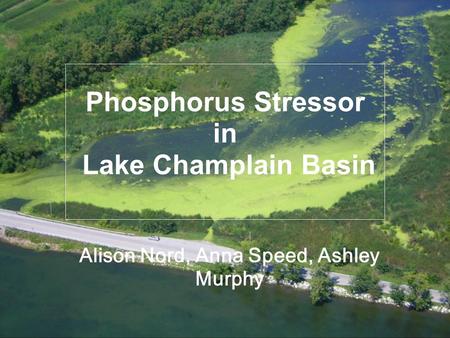 Phosphorus Stressor in Lake Champlain Basin Alison Nord, Anna Speed, Ashley Murphy.