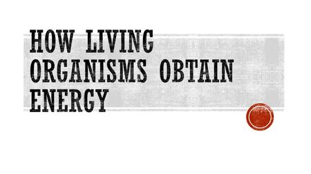  There are 2 ways that organisms obtain their energy 1. Producer (aka Autotroph) 2. Consumer (aka Heterotroph)