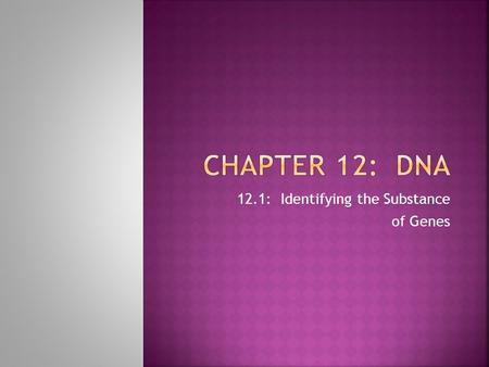 12.1: Identifying the Substance of Genes.  Investigating bacteria and pneumonia  S strain: mouse dies of pneumonia  R strain: mouse lives  Heat-killed.