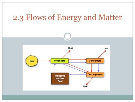 2.3 Flows of Energy and Matter. Significant Ideas  Ecosystems are linked together by energy and matter flows.  The Sun’s energy drives these flows,