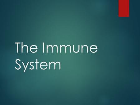 The Immune System. Objectives  State the structures that make up the immune system  Describe the functions of the immune system  Describe common disorders.