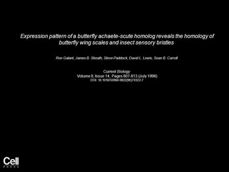 Expression pattern of a butterfly achaete-scute homolog reveals the homology of butterfly wing scales and insect sensory bristles Ron Galant, James B.