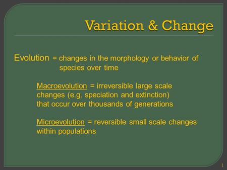 Evolution = changes in the morphology or behavior of species over time Macroevolution = irreversible large scale changes (e.g. speciation and extinction)