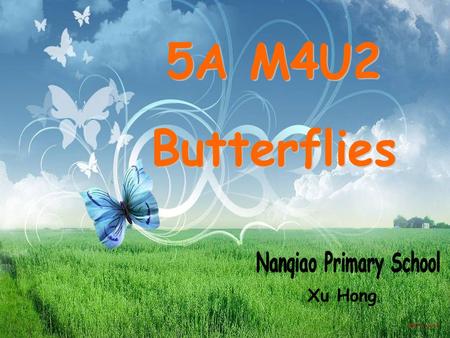 Xu Hong. Look at the butterflies, Colourful and beautiful. With the big wings, Flying everywhere. Like naughty boys, Chasing among the flowers. Like.