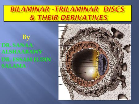 By DR. SANAA ALSHAARAWY DR. ESSAM ELDIN SALAMA.  OBJECTIVES :  At the end of the lecture, the student should be able to describe :  Changes in the.