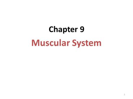 Chapter 9 Muscular System.