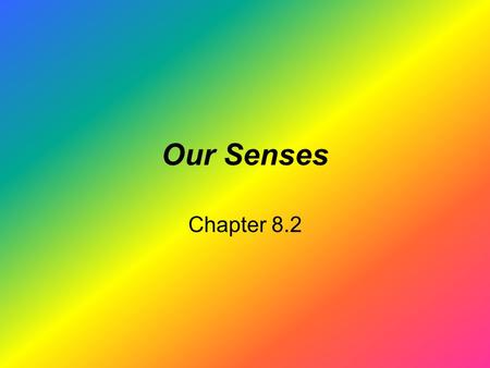 Our Senses Chapter 8.2. It is TRUE that when you look at a rainbow, the wavelength of light determines the colors you see –Red wavelength is longer than.