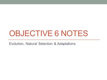 OBJECTIVE 6 NOTES Evolution, Natural Selection & Adaptations.