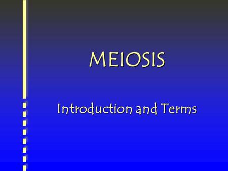 MEIOSIS Introduction and Terms Human Chromosomes Photograph of human chromosomes Can you find another other pair of homologous chromosomes ? Look for.