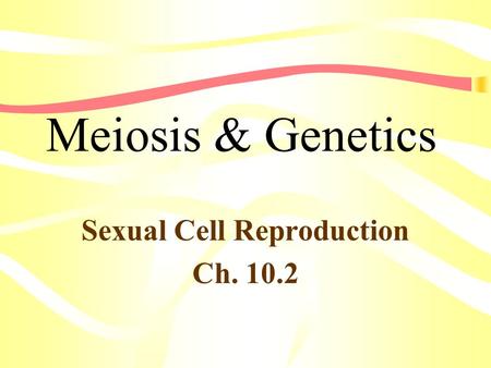 Meiosis & Genetics Sexual Cell Reproduction Ch. 10.2.