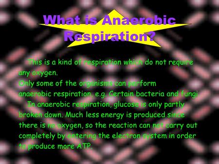 What is Anaerobic Respiration? This is a kind of respiration which do not require any oxygen. Only some of the organisms can perform anaerobic respiration,