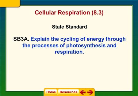 Cellular Respiration (8.3)