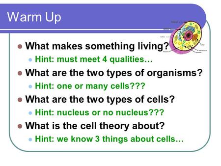 Warm Up What makes something living? Hint: must meet 4 qualities… What are the two types of organisms? Hint: one or many cells??? What are the two types.