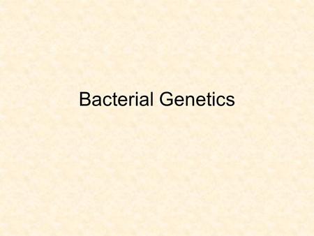 Bacterial Genetics. Vocabulary Binary fission Exponential growth Gram positive Gram negative Pathogen Antibiotic Selection pressure Adaptation Mutation.