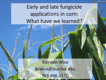 Early and late fungicide applications in corn: What have we learned?