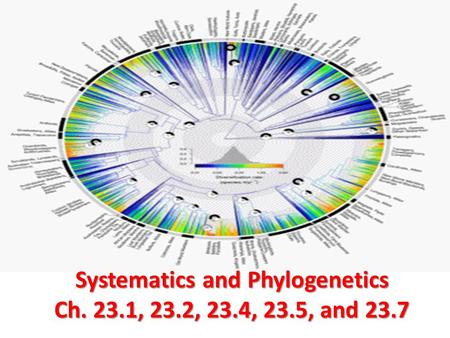 Systematics and Phylogenetics Ch. 23.1, 23.2, 23.4, 23.5, and 23.7.