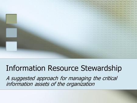 Information Resource Stewardship A suggested approach for managing the critical information assets of the organization.