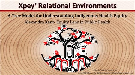 A Tree Model for Understanding Indigenous Health Equity Alexandra Kent- Equity Lens in Public Health Haida Tree by kireihiryu