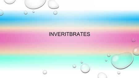 INVERITBRATES. SPONGES SPONGES HAVE PORES ALL OVER THERE BODY.WITH THOSE PORES THE WATER GOES IN AND OUT OF THE PORES. AND THAT ALLOWS THEM TO BREATH.