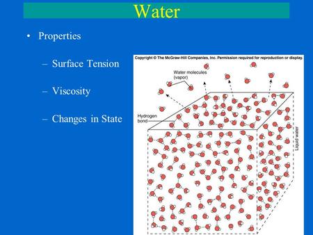 Water Properties Surface Tension Viscosity Changes in State.