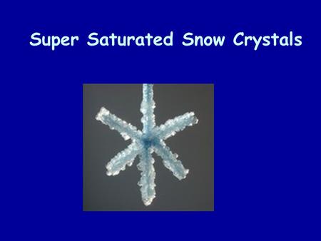 Super Saturated Snow Crystals. The Whole Enchilada!!!