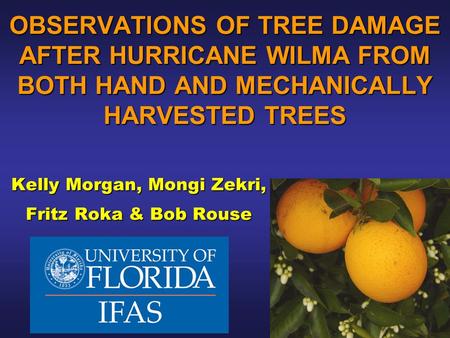 OBSERVATIONS OF TREE DAMAGE AFTER HURRICANE WILMA FROM BOTH HAND AND MECHANICALLY HARVESTED TREES Kelly Morgan, Mongi Zekri, Fritz Roka & Bob Rouse.