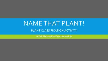 NAME THAT PLANT! IAFNR Plant and Soil Sciences Module PLANT CLASSIFICATION ACTIVITY.