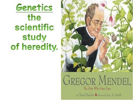 Genetics the scientific study of heredity.